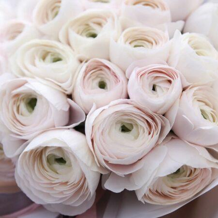 Ранункулюс