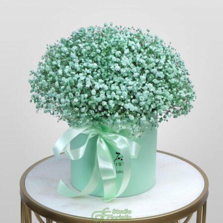 Гипсофила в коробке