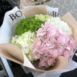 Гортензии микс