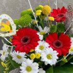 horoshego-nastroenija