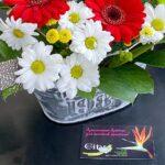 horoshego-nastroenija