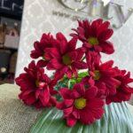 Хризантема кустовая красная