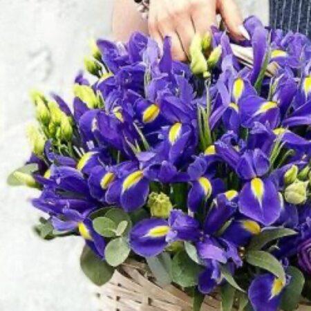 Корзина ирисов