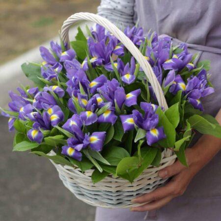 Корзина ирисов