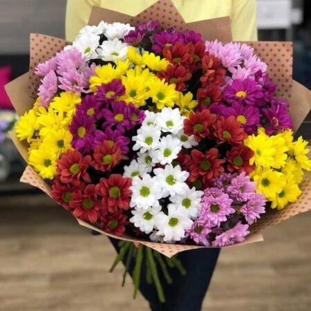 Лето, 15 кустиков