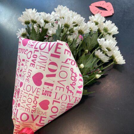 Белые ромашки