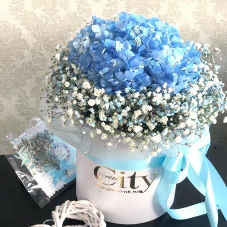 Нежное облако