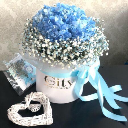 Нежное облако