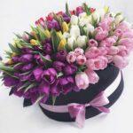 raznocvetnye-tjulpany