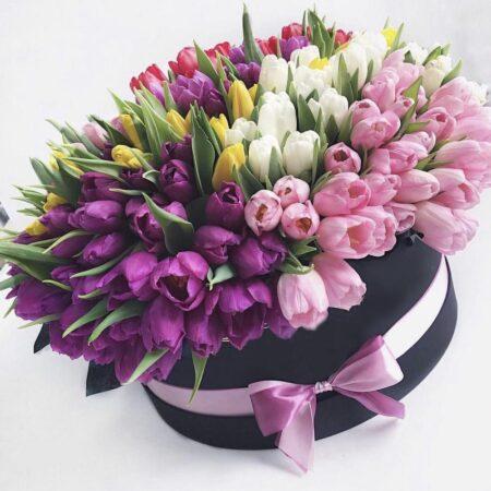 Разноцветные тюльпаны