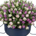 raznocvetnye-tjulpany