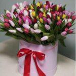 raznocvetnye-tjulpany