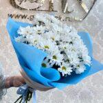 Ромашки