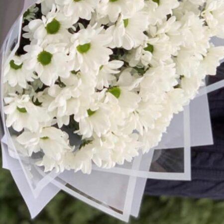 Ромашки мечты