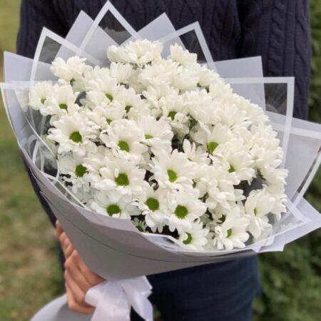 Купить ромашки в Новокузнецке