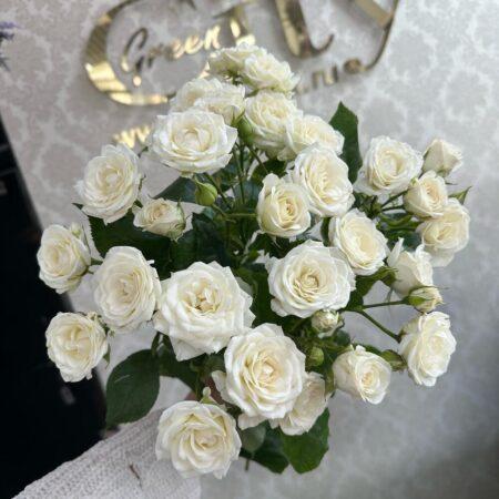 Роза кустовая 5 шт