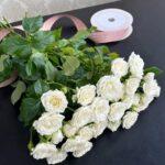 roza-kustovaja-5-sht