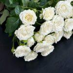 roza-kustovaja-5-sht