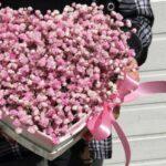 serdce-kotoroe-ljubit