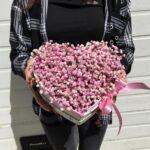 Сердце которое любит