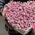 serdce-kotoroe-ljubit