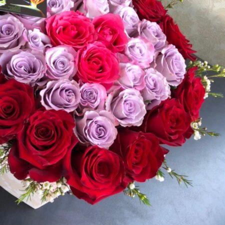 Сердце радуга