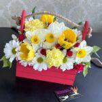 Солнечный привет