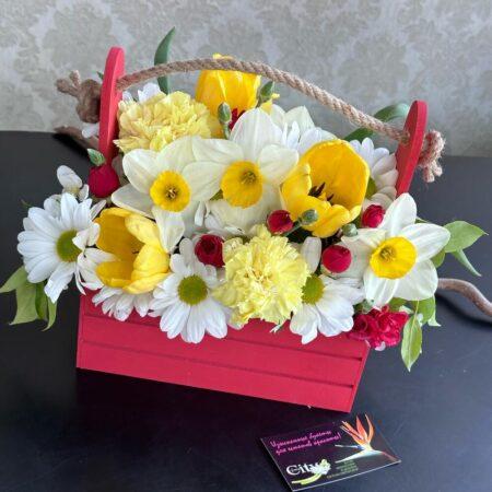 Солнечный привет