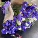 Таинственный ирис