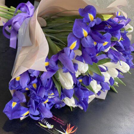 Таинственный ирис