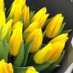 zheltye-tjulpany