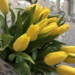 zheltye-tjulpany