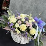 IMG 7538