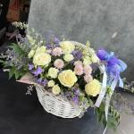 IMG 7538